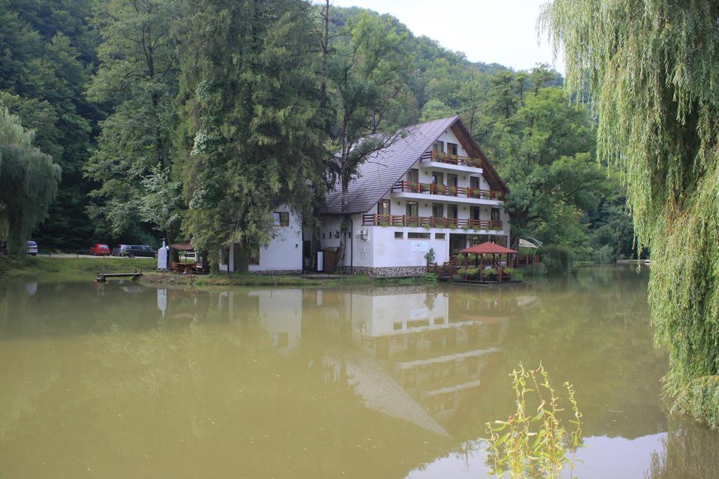 Guest House Lacul Linistit モネアサ 部屋 写真