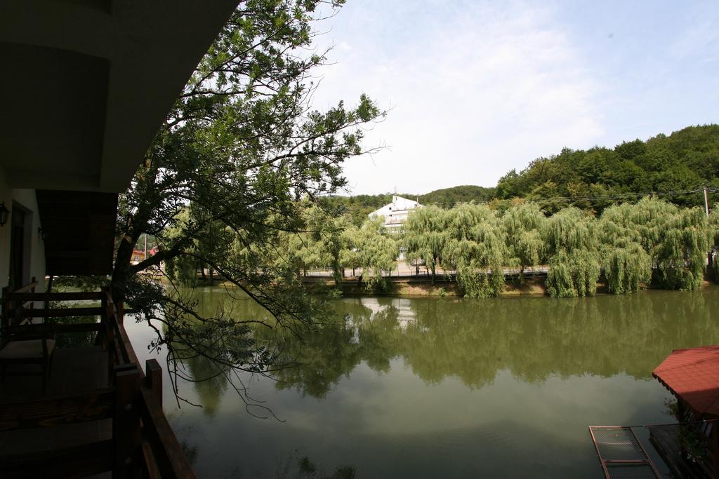 Guest House Lacul Linistit モネアサ 部屋 写真