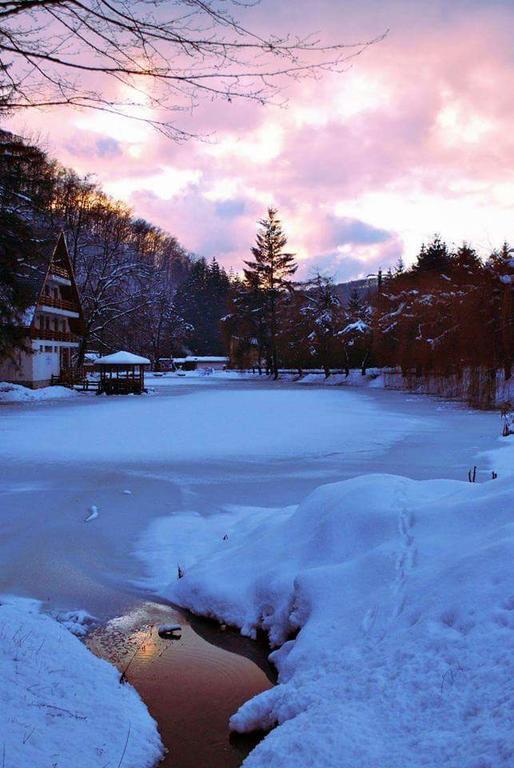 Guest House Lacul Linistit モネアサ エクステリア 写真